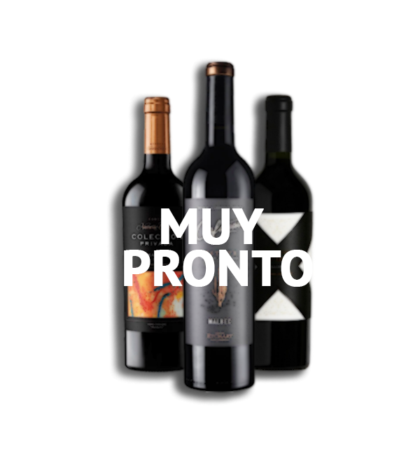 Vinos argentinos Malbec, Cabernet y blends. Botellas de calidad exportación ideales para acompañar carnes y ocasiones especiales. Disponibles en España con envío rápido.
